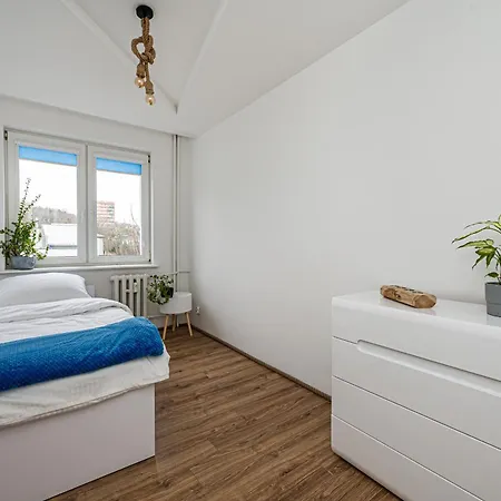 Octopus Kamienny Potok Сопот