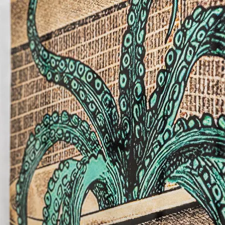 Octopus Kamienny Potok *