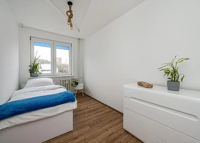 Octopus Kamienny Potok Sopot