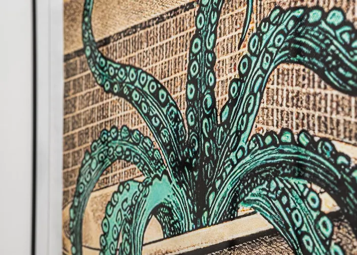 Octopus Kamienny Potok *