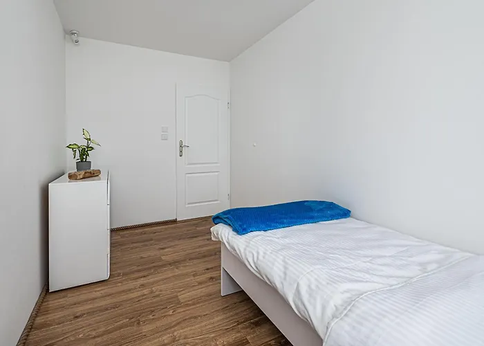 Octopus Kamienny Potok *