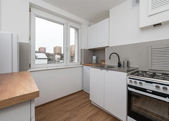 Octopus Kamienny Potok * Sopot